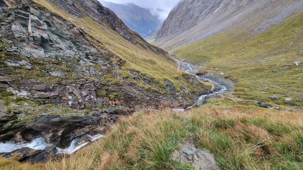 Grossglockner - 1